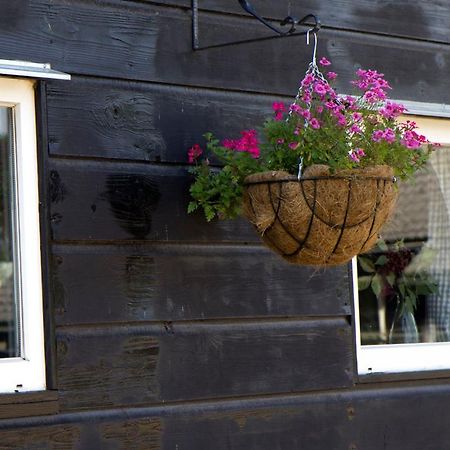 De Schaapskooi - Knus Veluws Vakantiehuisje เอเด ภายนอก รูปภาพ
